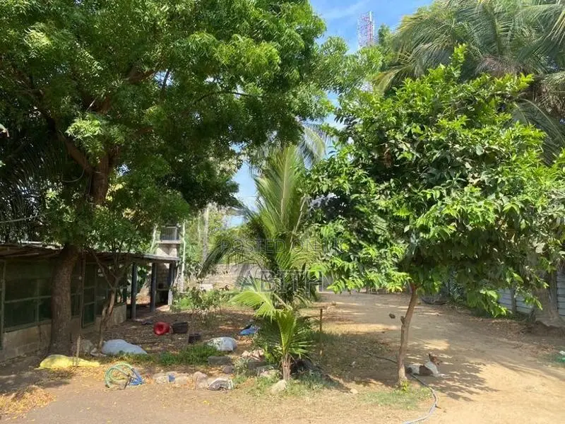 House With Land In Jaffna