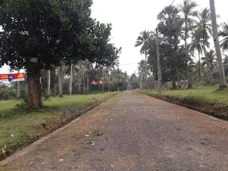 කුලියාපිටිය කඩිගමුව ඉඩමක් විකිණීමට