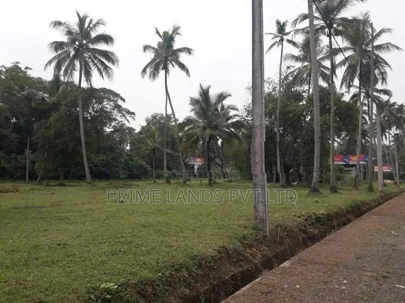 කුලියාපිටිය කඩිගමුව ඉඩමක් විකිණීමට