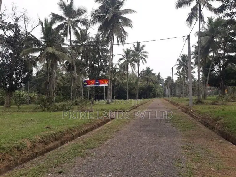 කුලියාපිටිය කඩිගමුව ඉඩමක් විකිණීමට