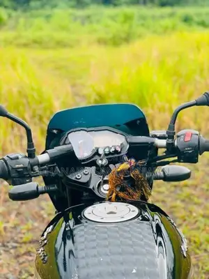 Bajaj Pulsar 150 2016