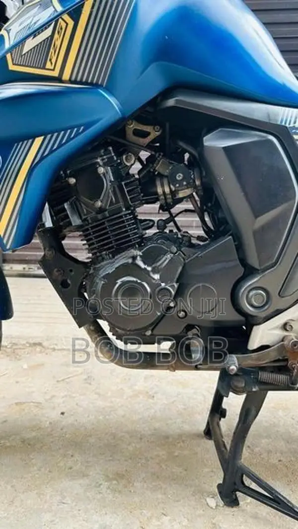 Yamaha FZs V2 2019