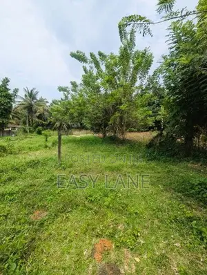 පනාගොඩ දැඩිගමුව ජය මාවතේ නේවාසික බිම් කොටස