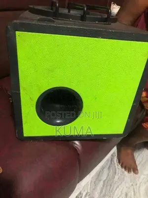 Winfu subwoofer for Car