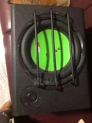 Winfu subwoofer for Car