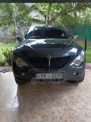 Micro Sports 2009 Crew Cab (Used)