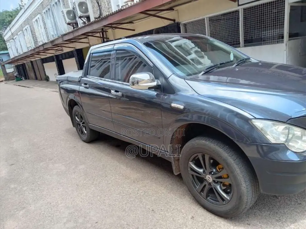 Micro Sports 2009 Crew Cab (Used)