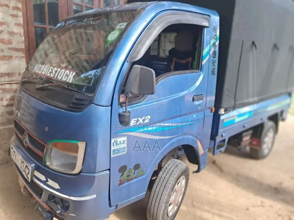 Tata Dimo Batta 2013 Lorry (Used)