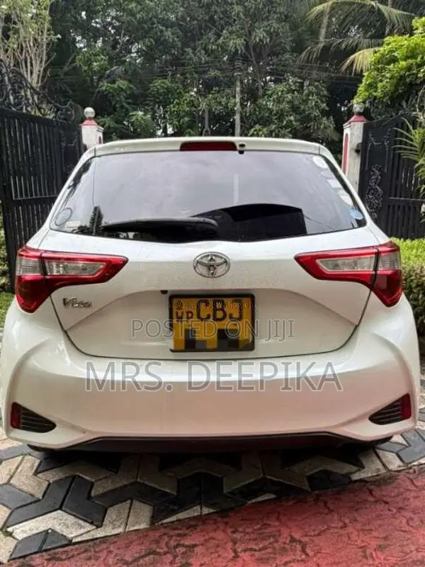 Toyota Vitz 2019 Car (Used)