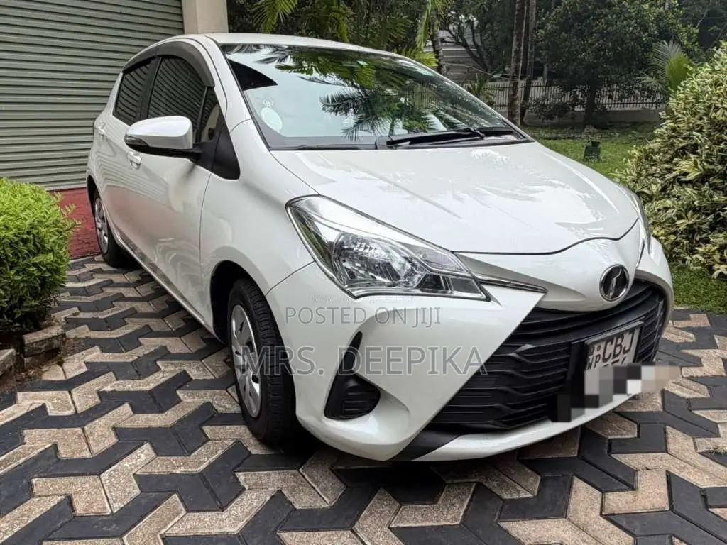 Toyota Vitz 2019 Car (Used)