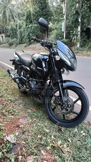 Bajaj Pulsar 150 2019 Motorbike (Used)