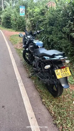Bajaj Pulsar 150 2019 Motorbike (Used)