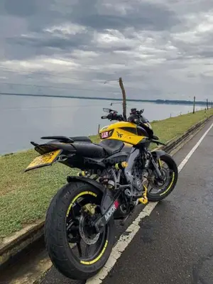 Bajaj Pulsar NS200 2018 Motorbike (Used)