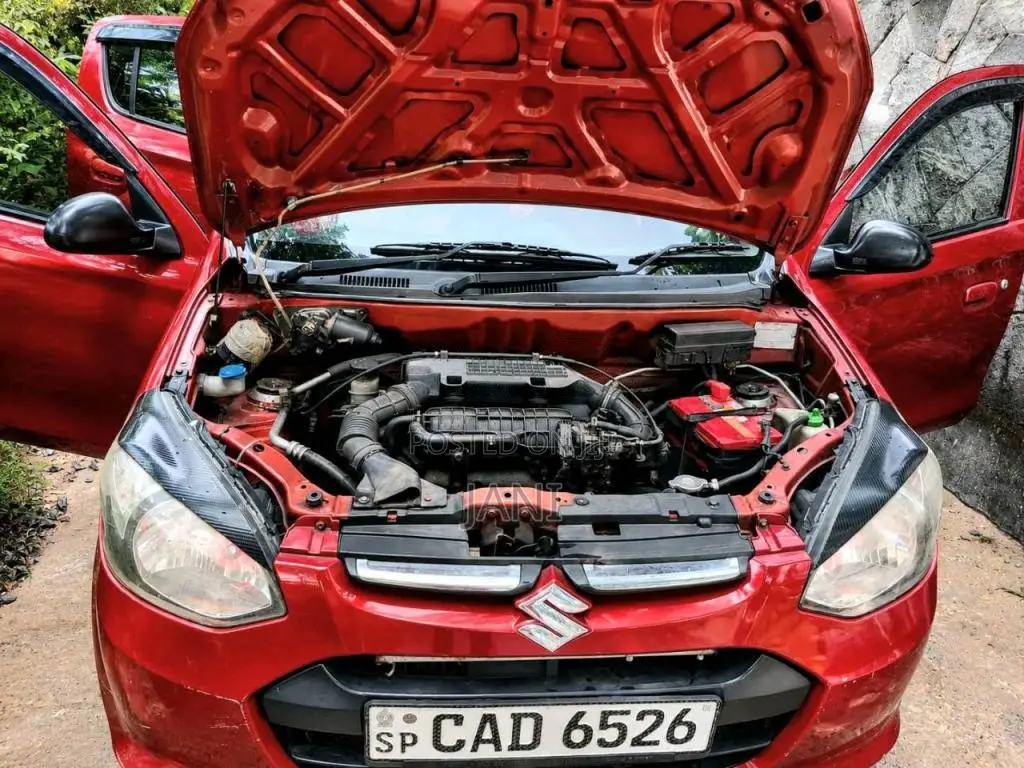 Suzuki Alto 2014 Car (Used)