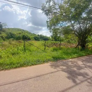 දොඩන්ගොඩ අධිවේගී පිවිසුමට ආසන්නව ඉඩමක් විකිණීමට ඇත (ID: WA44S)