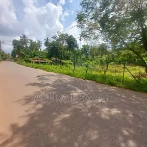 දොඩන්ගොඩ අධිවේගී පිවිසුමට ආසන්නව ඉඩමක් විකිණීමට ඇත (ID: WA44S)
