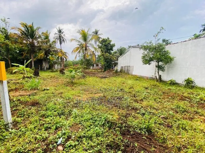 Few Land Blocks- Overlooking Gothatuwa wetland Park, Close to Rajagiri