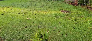 Kohuwala : 34.40 Perch Prime land Sale facing woodland mawatha