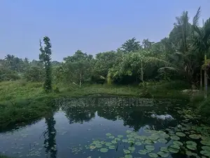 20 P With Single story House Sale At Pannipitiya