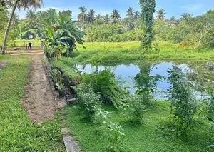 20 P With Single Story house Sale in Pannipitiya