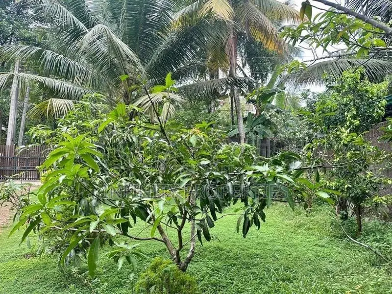 20 P With Single Story house Sale in Pannipitiya