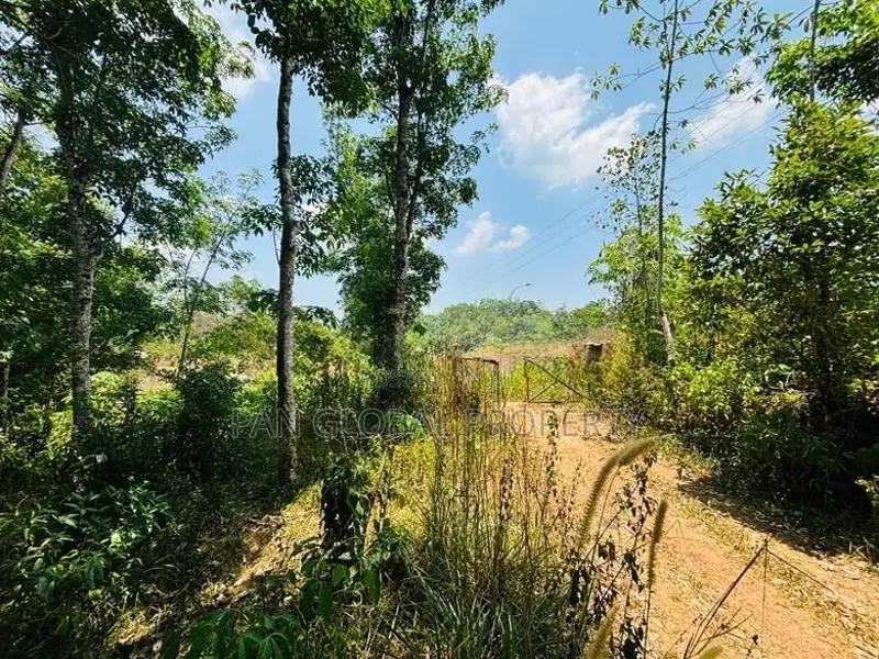 Rubber Estate for Sale in Aparekka Matara
