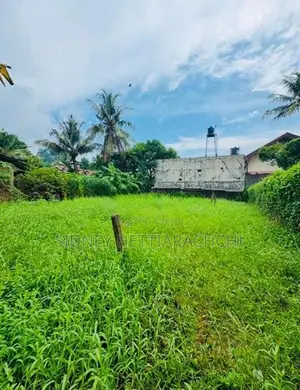 Land for Sale Jaela