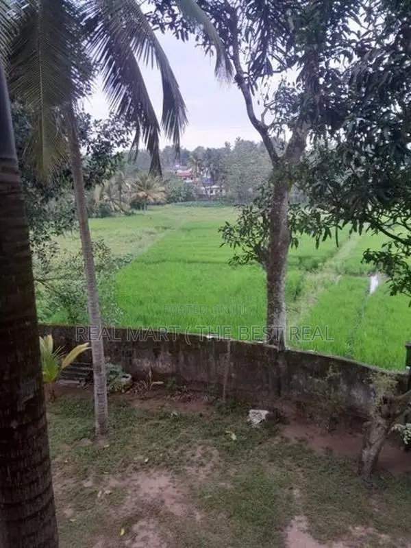 Pannipitiya : 10 P Highly Residential land for Sale at Palanwaththa