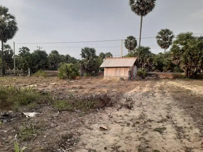 Land for Sale Mannar