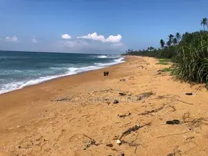 Beach Land for Sale in Induruwa