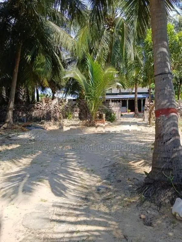 House for Sale in Navatkuli