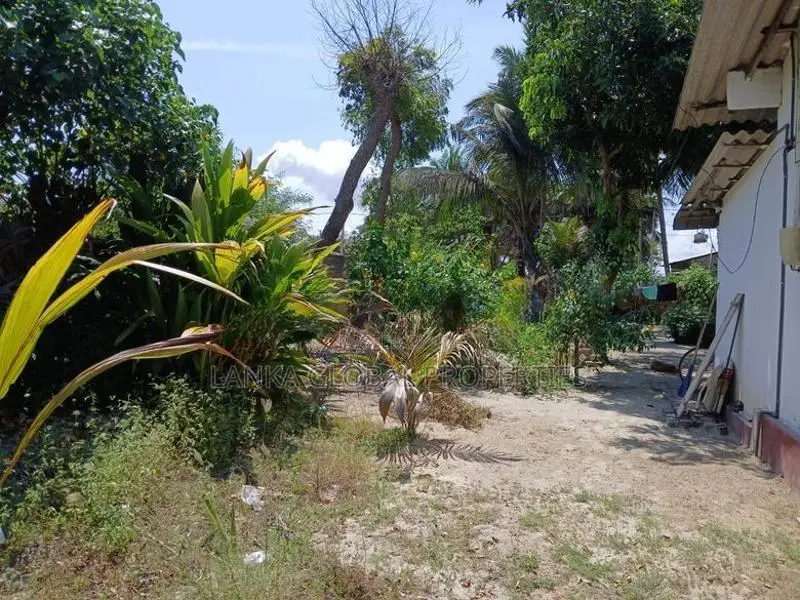 House for Sale in Navatkuli