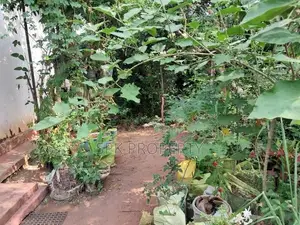 Flat & Valuable Land for Development – Angoda