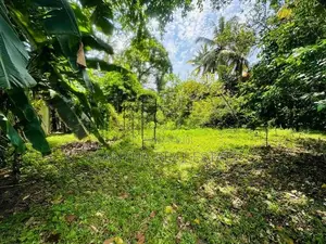 19 P Bare Land Sale At Temple Road Thalawathugoda