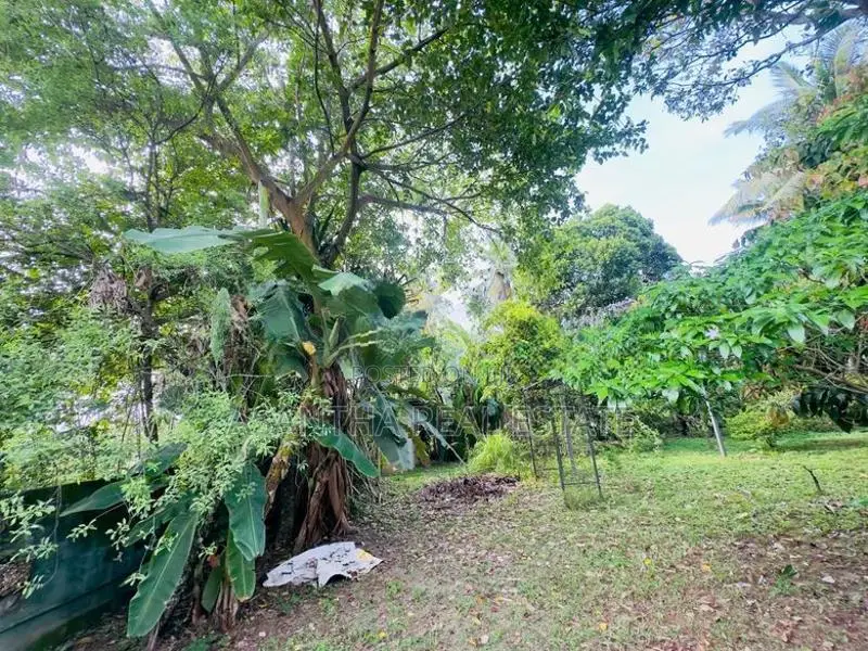 19 P Bare Land Sale At Temple Road Thalawathugoda
