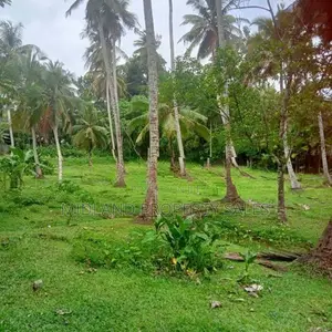 මිනුවන්ගොඩ පන්සිල්ගොඩ බිම් කොටස්