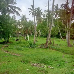 මිනුවන්ගොඩ පන්සිල්ගොඩ බිම් කොටස්