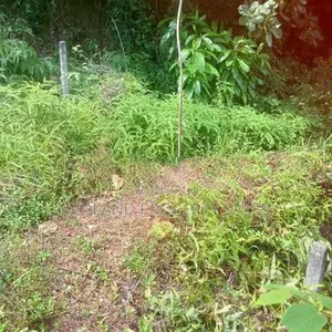 මිනුවන්ගොඩ ඕපාතින් බිම් කොටස් 6 ක්