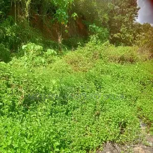 මිනුවන්ගොඩ ඕපාතින් බිම් කොටස් 6 ක්