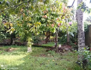 COMMMERCIAL LAND FOR SALE IN HOKANDARA (SP1210)