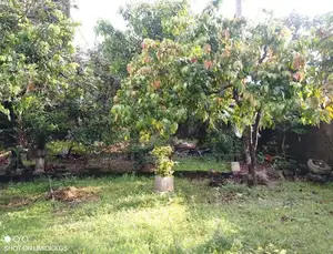 COMMMERCIAL LAND FOR SALE IN HOKANDARA (SP1210)