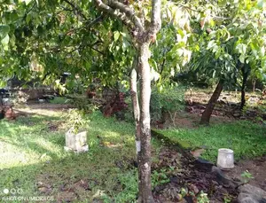 COMMMERCIAL LAND FOR SALE IN HOKANDARA (SP1210)
