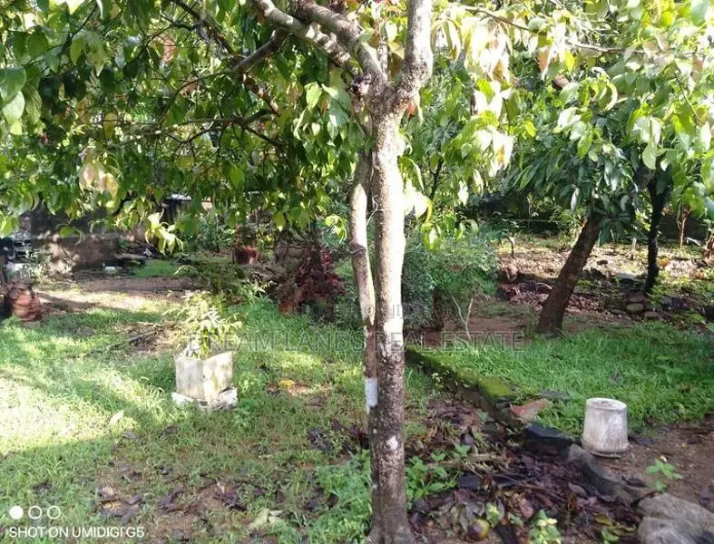 COMMMERCIAL LAND FOR SALE IN HOKANDARA (SP1210)