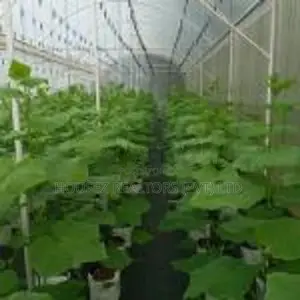 Pugoda Factory for Sale with Facilities