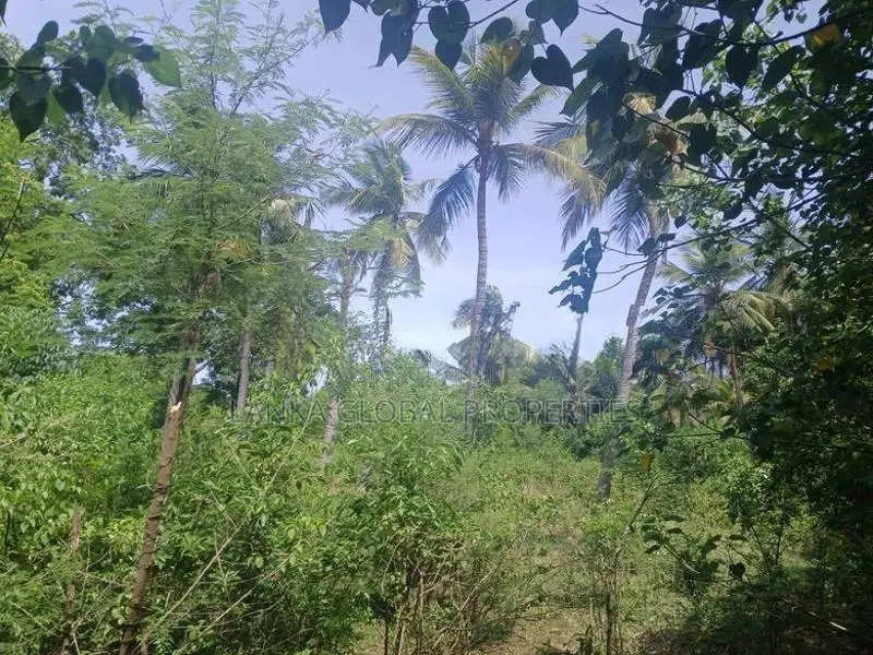 Land for Sale Vaddukoddai