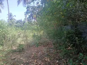 Land for Sale Vaddukoddai