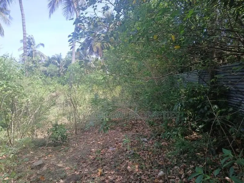 Land for Sale Vaddukoddai