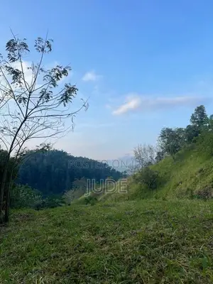Peradeniya Land – (200 perches) Main Road Property