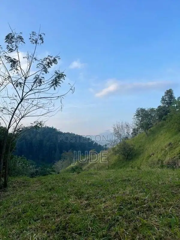 Peradeniya Land – (200 perches) Main Road Property