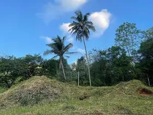 Peradeniya Land – (200 perches) Main Road Property